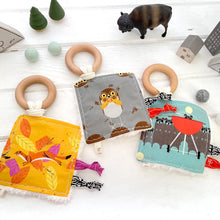 Load image into Gallery viewer, Crinkle Toy & Sensory Teether