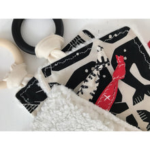 Load image into Gallery viewer, Crinkle Toy & Sensory Teether