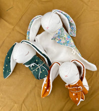 Load image into Gallery viewer, Snuggle Bunny Lovey